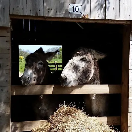 Bed and Breakfast D'hotes Cote Campagne Vaux-sur-Aure