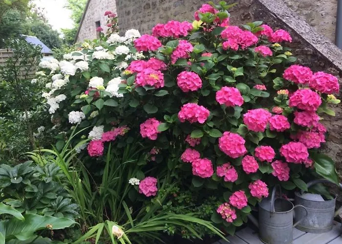 Bed & Breakfast D'hotes Cote Campagne 3*